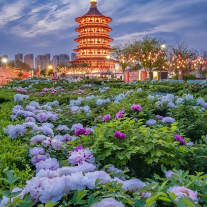 河南郑州+洛阳+开封5日4晚跟团游 河南郑州+洛阳+开封5日4晚跟团游