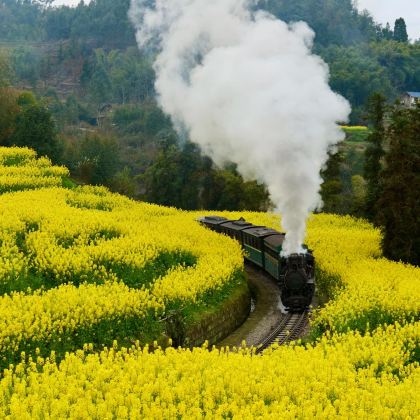 乐山+嘉阳小火车+苏稽古镇2日1晚私家团 乐山+嘉阳小火车+苏稽古镇2日1晚私家团