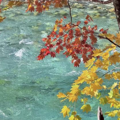 日本大阪+京都+奈良+东京+富士山7日6晚跟团游 日本大阪+京都+奈良+东京+富士山7日6晚跟团游