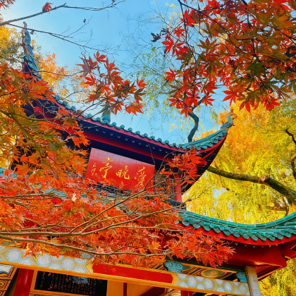 长沙+韶山+岳麓山+橘子洲景区4日3晚私家团 长沙+韶山+岳麓山+橘子洲景区4日3晚私家团