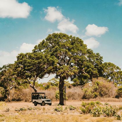 斯里兰卡8日7晚私家团 斯里兰卡8日7晚私家团