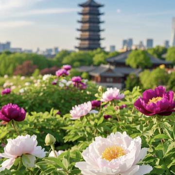 河南郑州+开封+洛阳+清明上河园+龙门石窟6日5晚私家团 河南郑州+开封+洛阳+清明上河园+龙门石窟6日5晚私家团