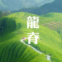 广西桂林+阳朔+漓江+龙脊梯田5日4晚跟团游 广西桂林+阳朔+漓江+龙脊梯田5日4晚跟团游