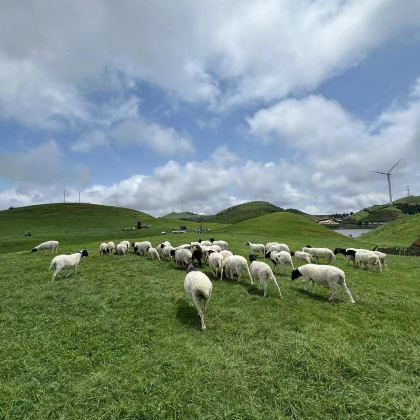 湖南长沙+郴州+韶山+衡山+岳阳7日6晚跟团游 湖南长沙+郴州+韶山+衡山+岳阳7日6晚跟团游