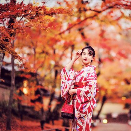 日本东京+富士山+箱根+镰仓市6日5晚私家团 日本东京+富士山+箱根+镰仓市6日5晚私家团