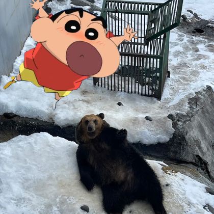 日本北海道札幌+小樽+洞爷湖+登别地狱谷+函馆7日6晚私家团 日本北海道札幌+小樽+洞爷湖+登别地狱谷+函馆7日6晚私家团