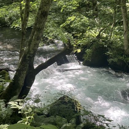 青森县6日5晚私家团 青森县6日5晚私家团