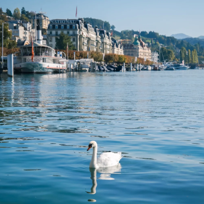 法国+瑞士11日9晚自由行 法国+瑞士11日9晚自由行