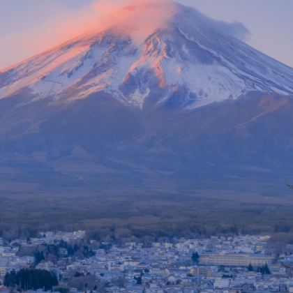日本东京+富士山+箱根7日私家团 日本东京+富士山+箱根7日私家团