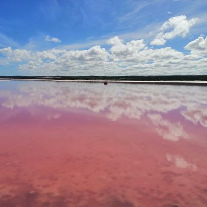 澳大利亚西澳大利亚+赫特泻湖+卡尔巴里国家公园2日1晚跟团游 澳大利亚西澳大利亚+赫特泻湖+卡尔巴里国家公园2日1晚跟团游