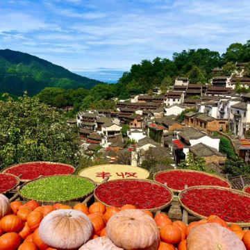 黄山+庐山+婺源+景德镇+南昌6日5晚跟团游 黄山+庐山+婺源+景德镇+南昌6日5晚跟团游