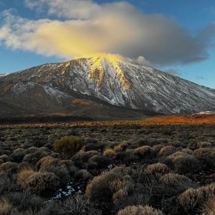 西班牙马德里+巴塞罗那+塞维利亚+特内里费岛11日10晚拼小团 西班牙马德里+巴塞罗那+塞维利亚+特内里费岛11日10晚拼小团