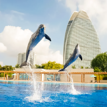 三亚+亚特兰蒂斯5日4晚私家团 三亚+亚特兰蒂斯5日4晚私家团