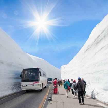 日本富山县立山町立山黑部阿尔卑斯山脉+上高地+大王山葵农场+黑部水坝+雪之大谷+御池+白川乡3日2晚跟团游 日本富山县立山町立山黑部阿尔卑斯山脉+上高地+大王山葵农场+黑部水坝+雪之大谷+御池+白川乡3日2晚跟团游