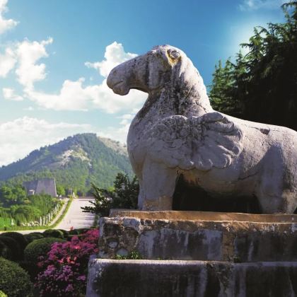 陕西西安+华山+延安+壶口瀑布+咸阳7日6晚私家团 陕西西安+华山+延安+壶口瀑布+咸阳7日6晚私家团
