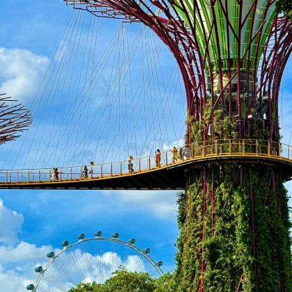 新加坡+新加坡环球影城+新加坡国立大学4日3晚拼小团 新加坡+新加坡环球影城+新加坡国立大学4日3晚拼小团