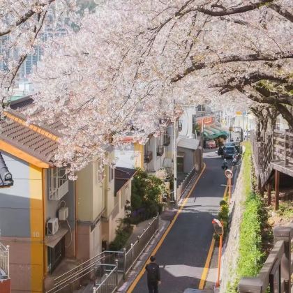 韩国釜山4日3晚跟团游 韩国釜山4日3晚跟团游