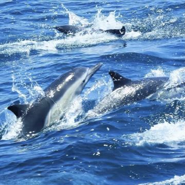 毛里求斯6日5晚私家团 毛里求斯6日5晚私家团