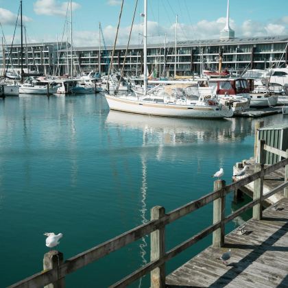 新西兰北岛+南岛20日18晚私家团 新西兰北岛+南岛20日18晚私家团