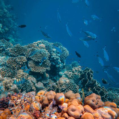 龙目岛+吉利群岛+科莫多5日4晚私家团 龙目岛+吉利群岛+科莫多5日4晚私家团