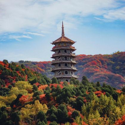 济南红叶谷+大明湖景区+趵突泉景区+芙蓉街+千佛山2日1晚拼小团 济南红叶谷+大明湖景区+趵突泉景区+芙蓉街+千佛山2日1晚拼小团