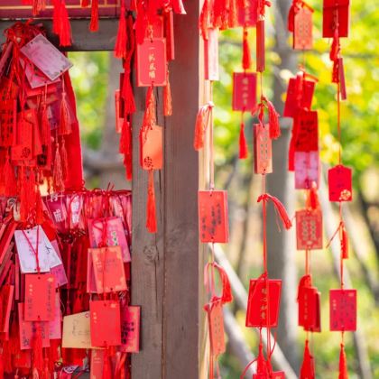 曲阜三孔+泰山3日2晚跟团游 曲阜三孔+泰山3日2晚跟团游