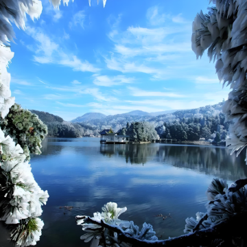 江西南昌+庐山+婺源+三清山风景区+景德镇+望仙谷5日4晚私家团 江西南昌+庐山+婺源+三清山风景区+景德镇+望仙谷5日4晚私家团