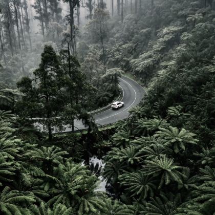 墨尔本+布里斯班+悉尼9日8晚私家团 墨尔本+布里斯班+悉尼9日8晚私家团