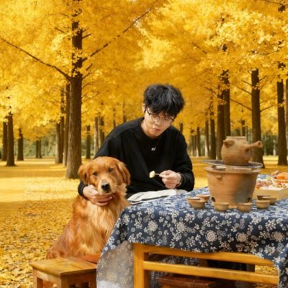 云南昆明+瑞丽+芒市+腾冲6日5晚私家团 云南昆明+瑞丽+芒市+腾冲6日5晚私家团