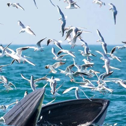 北海+涠洲岛6日5晚私家团 北海+涠洲岛6日5晚私家团