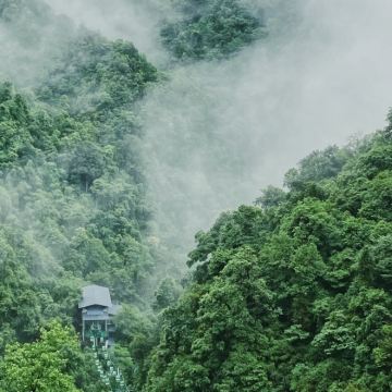 井冈山4日3晚自由行 井冈山4日3晚自由行