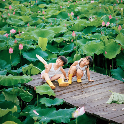 昆明+抚仙湖+建水+普者黑景区+弥勒5日4晚拼小团 昆明+抚仙湖+建水+普者黑景区+弥勒5日4晚拼小团