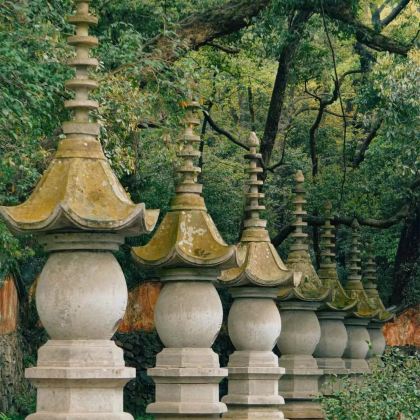 台州+神仙居+国清寺+小箬村5日4晚私家团 台州+神仙居+国清寺+小箬村5日4晚私家团