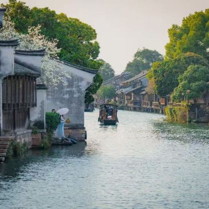 上海+南京+无锡+苏州+杭州+乌镇6日5晚跟团游 上海+南京+无锡+苏州+杭州+乌镇6日5晚跟团游