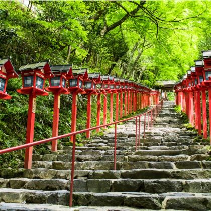 日本大阪5日私家团 日本大阪5日私家团