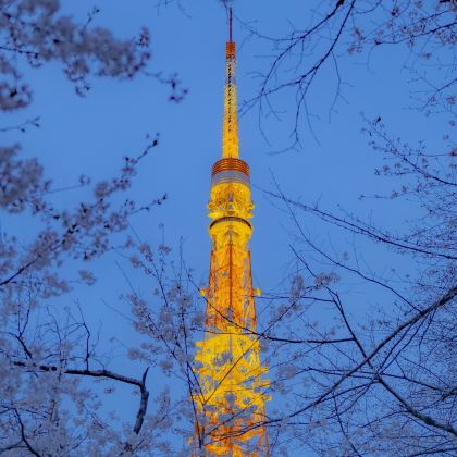 日本东京+富士山+大阪+京都5日4晚跟团游 日本东京+富士山+大阪+京都5日4晚跟团游