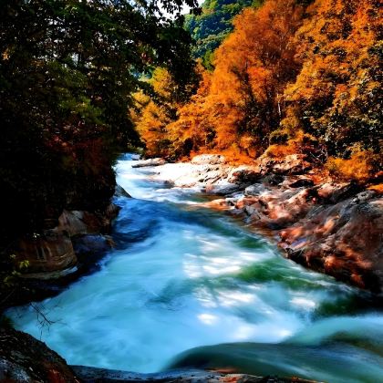 光雾山旅游景区+米仓山国家森林公园+十八月潭景区+汉中龙头山国际旅游度假区+情人谷+留坝千年银杏树7日6晚私家团 光雾山旅游景区+米仓山国家森林公园+十八月潭景区+汉中龙头山国际旅游度假区+情人谷+留坝千年银杏树7日6晚私家团