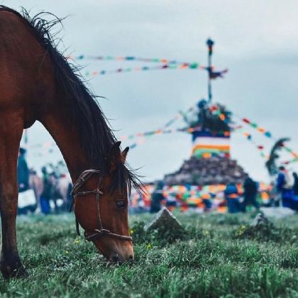 秦皇岛+北戴河+承德+木兰围场+乌兰布统草原5日4晚私家团 秦皇岛+北戴河+承德+木兰围场+乌兰布统草原5日4晚私家团