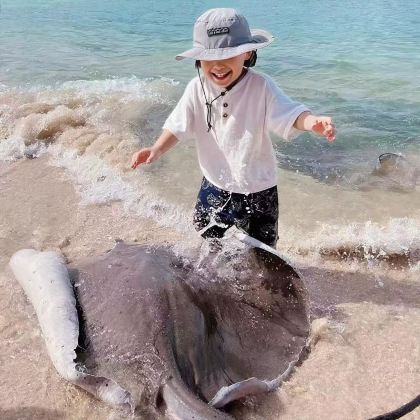 海南陵水+分界洲岛+海南海洋欢乐世界5日4晚私家团 海南陵水+分界洲岛+海南海洋欢乐世界5日4晚私家团