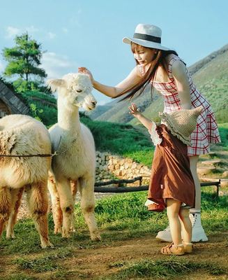 新西兰奥克兰+罗托鲁瓦10日8晚拼小团 新西兰奥克兰+罗托鲁瓦10日8晚拼小团