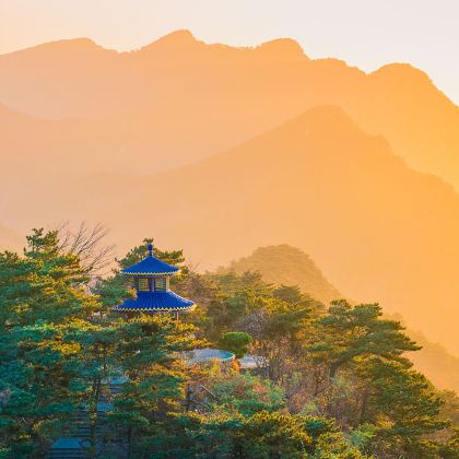 南昌+庐山+景德镇+三清山+婺源篁岭5日4晚跟团游 南昌+庐山+景德镇+三清山+婺源篁岭5日4晚跟团游