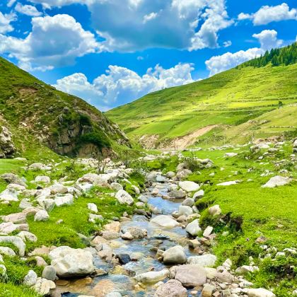 山西芦芽山旅游度假区+马仑草原+万年冰洞2日1晚跟团游 山西芦芽山旅游度假区+马仑草原+万年冰洞2日1晚跟团游