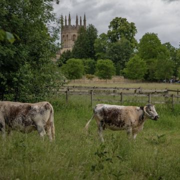 英国9日私家团 英国9日私家团