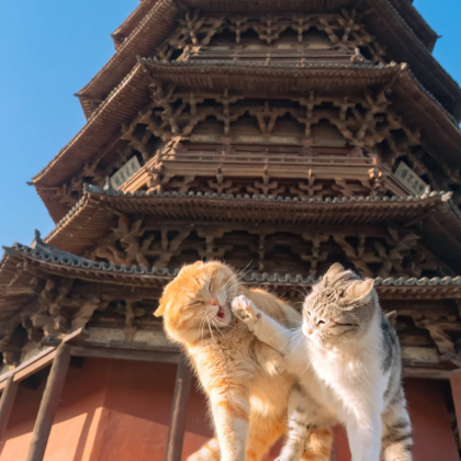 中国山西大同云冈石窟+悬空寺+应县木塔景区+雁门关景区2日1晚跟团游 中国山西大同云冈石窟+悬空寺+应县木塔景区+雁门关景区2日1晚跟团游