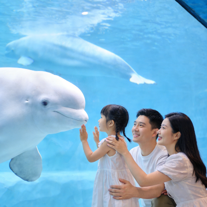 珠海长隆4日3晚私家团 珠海长隆4日3晚私家团