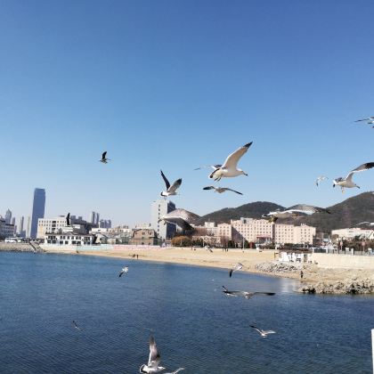 大连4日3晚私家团 大连4日3晚私家团