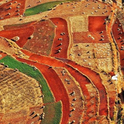 昆明+抚仙湖+建水+元阳+蒙自+普者黑风景区+弥勒+罗平+东川红土地10日9晚私家团 昆明+抚仙湖+建水+元阳+蒙自+普者黑风景区+弥勒+罗平+东川红土地10日9晚私家团