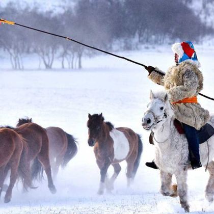 北京+崇礼区+坝上+承德5日4晚跟团游 北京+崇礼区+坝上+承德5日4晚跟团游