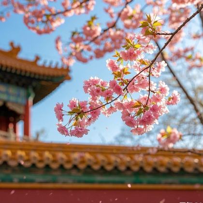 北京环球度假区+故宫博物院+颐和园+长城+天坛公园+恭王府8日7晚私家团 北京环球度假区+故宫博物院+颐和园+长城+天坛公园+恭王府8日7晚私家团