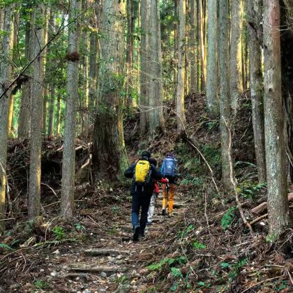 徒步·日本熊野古道中边路+大阪+川汤温泉+那智瀑布2日1晚跟团游 徒步·日本熊野古道中边路+大阪+川汤温泉+那智瀑布2日1晚跟团游